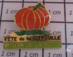 817 Pin's Pins / Beau Et Rare / VILLES / FETE DE LA CITROUILLE ST JEAN DE LA MOTTE Et Pas L'inverse ? - Animaux