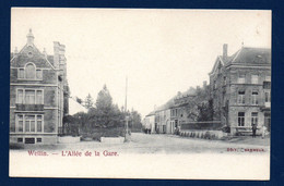 Wellin. L ' Allée De La Gare. Ca 1900 - Wellin