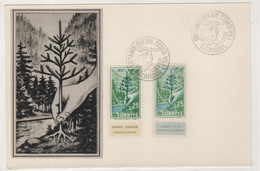 TURKEY,TURQUIE,TURKEI , 1957 TURKEY THE CENTENARY OF THE INSTRUCTION OF FORESTRY ,MAXIMUMCARD - Cartas & Documentos