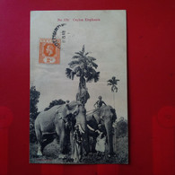 CEYLON ELEPHANTS - Sri Lanka (Ceylon)