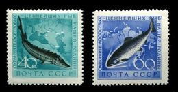 ZSRR 1959 MI. 2244-45** MI. 2 EUR - Nuevos