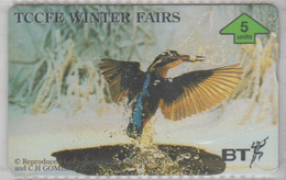 UNITED KINGDOM 1996 BIRDS KINGFISHER TCCFE WINTER FAIRS '96 - Zangvogels