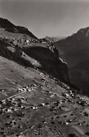 Mürren - Blick Auf Gimmelwald - Vue Sur Le Village - Suisse Switzerland - Wald