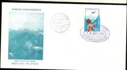 NEDERLANDS NIEUW GUINEA *  FDC E 2 * ONBESCHREVEN * (12.340b) - Netherlands New Guinea