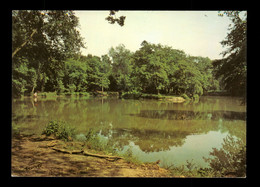 95 Val D' Oise Baillet En France Etang Du Village Vacances C.N.P.O. - Baillet-en-France