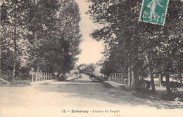 CP FRANCE - 51 - ESTERNAY - Avenue Du Paquit - Editeur Autréau - Esternay