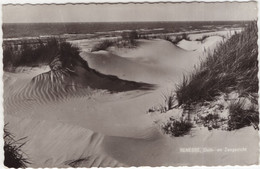 Renesse, Duin-  En Zeegezicht - (Zeeland, Holland/Nederland) - (Uitg.: Kampeerboerderij Duinhoeve, Renesse) - Renesse