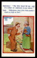 Ref 1592 - Comic Postcard - Lady To Canvasser Bitten By Dog "Little Fido Couldn't Reach" - Bandes Dessinées