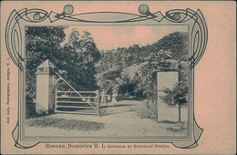 DOMINCA -  WEST INDIES - ROSEAU - ENTRANCE TO BOTANICAL STATION - PHOTO JOSE ANJO - 1900s (15741) - Dominica