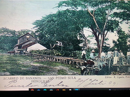 Delcampe - Published By Ugarte, Carrying Bananas In San Pedro Sula - Honduras