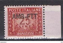 TRIESTE  A:  1952/54  TASSE  FIL. R. III°  -  £. 25  ROSSO  BRUNO  N. -  SASS. 25 - Taxe