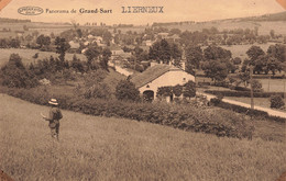 CPA - Belgique - Lierneux - Panorama De Grand Sart - Edit. G. Préaux Et Cie - Animé - Oblitéré Lierneux - Lierneux