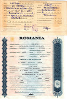 Romania, 1996, "AMCO BUFTEA" Company - Vintage Shareholder Certificate / Bond & Receipt - A - C