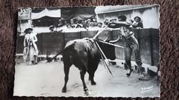 CPSM CORRIDA DE TOROS TAURAU TORERO UNE PAIRE DE BANDERILLES A L ESTRIBO PAR CARNICERITO DE MEXIQUE COLL VALLAT - Taureaux