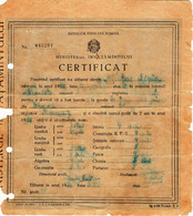 Romania, 1956, Vintage Graduation Certificate / Diploma - Primary School For Girls No. 8, Giurgiu - Diplomi E Pagelle