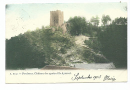 Poulseur Château Des Quatre Fils Aymont - Comblain-au-Pont