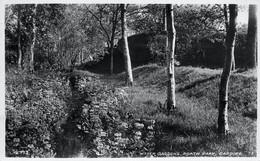 CPSM Water Gardens,Roath Park,Cardiff-Timbre    L2024 - Glamorgan