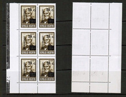 ARGENTINA   Scott # 1077** MINT NH BLK. Of 6 (CONDITION AS PER SCAN) (LG-1535) - Blocks & Sheetlets