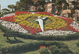 Kobe - Floral Clock - Kobe