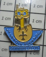 1018c Pin's Pins / Beau Et Rare / SPORTS / NATATION DAMMARIE LES LYS JARDIN AQUATIQUE CANARD CANETON OEUF TUBA - Nuoto