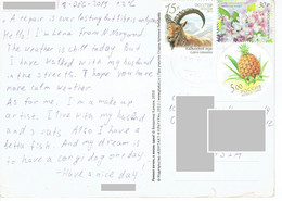 C2 : Russia Pineapple Round Shape, Flower, Capricon Goat Horn Stamp Used On Postcard - Storia Postale