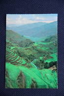 PHILIPPINES - BANAWE RICE TERRACES - Philippines