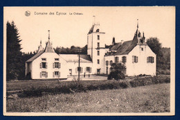 Domaine Des Epioux ( Florenville). Château. (Prince Pierre Napoléon, Louis Zoude Et Victor Dejardin) - Florenville