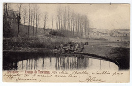 Bruxelles - Avenue De Tervueren - 1902 - Sans éditeur - Forêts, Parcs, Jardins