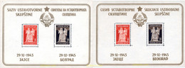 109117 MNH YUGOSLAVIA 1945 REPUBLICA POPULAR FEDERADA - Colecciones & Series