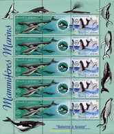 8576 MNH NUEVA CALEDONIA 2001 OPERACION CETACEOS - Oblitérés