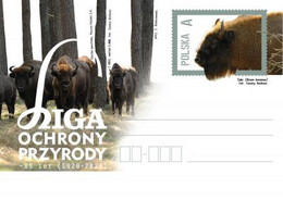 Poland 2023 / Nature Protection League - Bison, Bisons Animals, Forest / Postcard New!!! - Taureaux