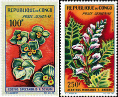 82648 MNH CONGO 1963 FLORES - FDC