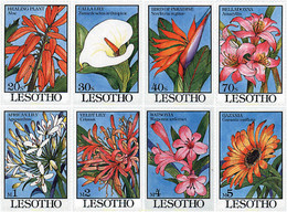 94411 MNH LESOTHO 1993 FLORES - Lesotho (1966-...)
