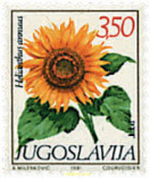 294451 MNH YUGOSLAVIA 1981 FLORA - Collections, Lots & Séries