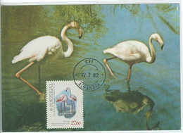 Portugal Oiseau Flammant Rose Carte Maximum 1982 Flamingo Bird Maxicard - Flamencos
