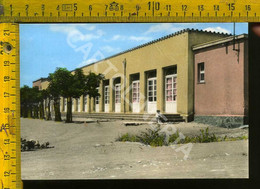 Oristano Milis Scuole Elementari - Oristano