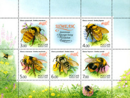 184107 MNH RUSIA 2005 FAUNA - Used Stamps