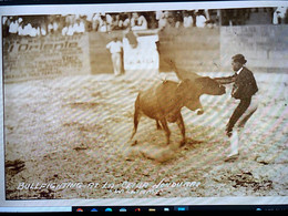 Published By Williams, Bullfighting At La Ceiba 1930 - Honduras