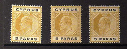Chypre - 1904 - 5 P. Edouard VII - Neufs** - MNH - Cyprus (...-1960)