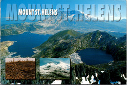 Washington Mount Saint Helens - Other & Unclassified