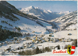 SBG-Saalbach - Zwölferkogel  Gelaufen 1975 - Saalbach
