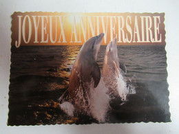 Dauphin  Joyeux Anniversaire   Neuve - Dauphins