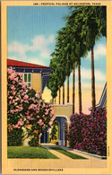 Texas Galveston Tropical Foliage Oleanders And Bougainvilleas Curteich - Galveston