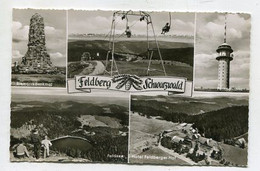 Delcampe - AK 109013 GERMANY - Feldberg / Schwarzwald - Feldberg
