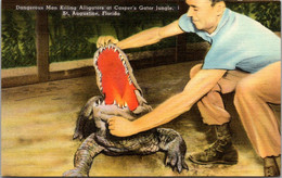 Florida St Augustine Casper's Gator Jungle Dangerous Man Killing Alligator - St Augustine