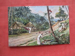 Saint Lucia  Tuck Series. Gathering Cocoanuts    Ref 5909 - Santa Lucía