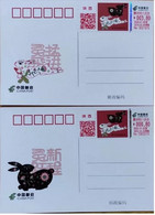 China Covers,Self-service Lottery Ticket Shaanxi 2023-1, Xi'an, Shaanxi, Year Of The Rabbit, Two Covers And Two Pieces T - Covers & Documents