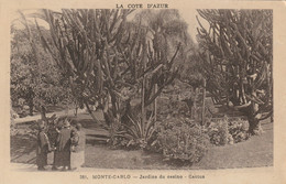 MONTE CARLO JARDINS DU CASINO - Exotische Tuin