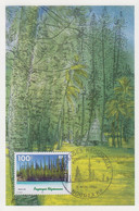 Carte  Maximum  1er  Jour    NOUVELLE  CALEDONIE    Paysages   Régionaux   1998 - Cartoline Maximum