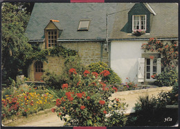 56 - L'île D'arz - Maisons Fleuries Au Bourg De Pen Roz - Ile D'Arz